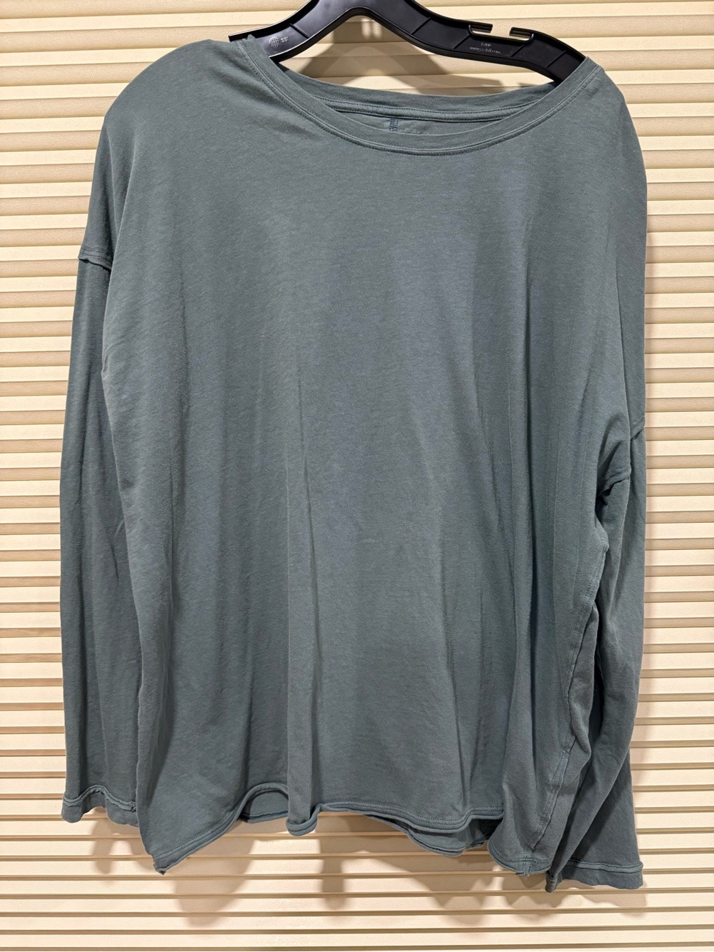 We The Feee Relaxed Long-Sleeve Women's Top in Sage Green